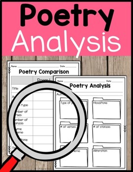 Preview of Poetry Analysis - For Any Poem!