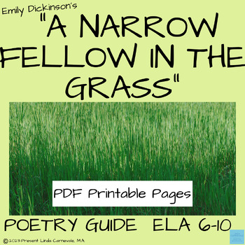 Preview of Poem Analysis Worksheets for Poetry Unit | A Narrow Fellow by Emily Dickinson