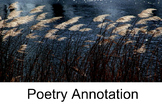 Poetry Annotation Lesson and Assignment