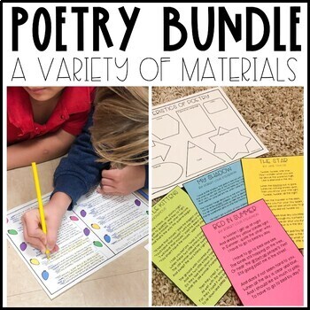 Preview of Poetry Examples, Characteristics, Elements, Coding, and Assessments Bundle