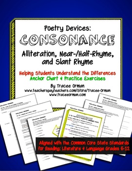Preview of Poetry Devices: Consonance (Alliteration, Near/Half & Slant Rhymes)