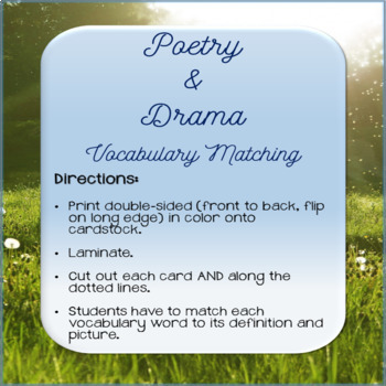Preview of Poetry & Drama Vocabulary Matching Cards