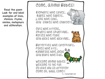 Poetry Elements and Animal Poems Bundle by Amy's School Shop | TPT