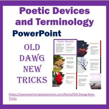 Preview of Poetry: Poetic Devices and Terminology PowerPoint