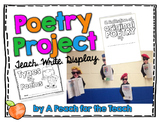 Poetry Project and Craft