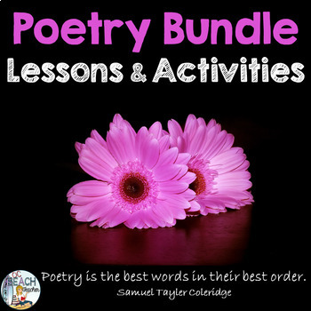 Preview of Poetry Reading and Writing Activity Bundle