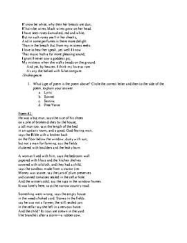 Poetry Terminology Test 1 & Answer Key by sTEPhenson - Turn Every Page