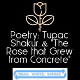 Poetry: Tupac Shakur & Derrick Rose "The Rose that Grew fr