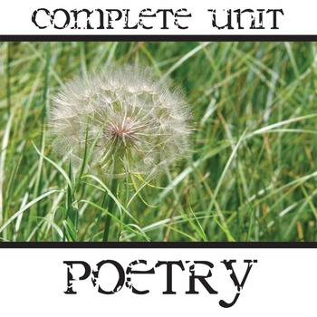 Preview of Elements of Poetry Unit Complete PowerPoint & Activities - Pun Simile Meter Feet