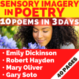 IMAGERY IN POETRY: Poems with Vivid Sensory Images | 3-Day