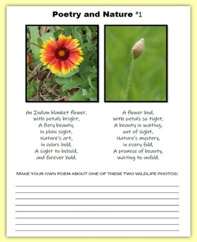 Poetry and Nature - create your own poems by The Gifted Writer | TPT