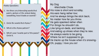 Animal Poetry-helping learners create their own poems using poetry exemplars