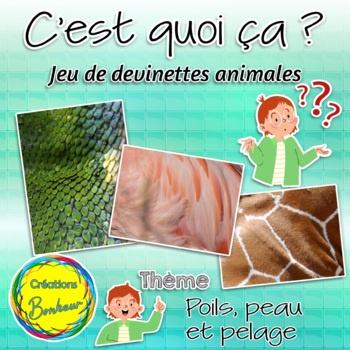 Preview of Poils, plumes, et peau-  jeu devinettes animales