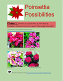 Poinsettia Possibilities