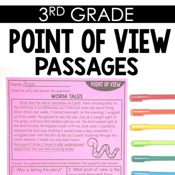 Preview of Point of View 3rd Grade Reading Toothy®