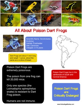 Basic Information Sheet: Poison Dart Frog - LafeberVet