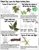 Poison Ivy Identification Activity Sheets (2) | Outdoor Ed