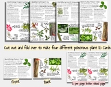 Poisonous Plants Id cards- Poison Oak, Sumac, Ivy and Hogw