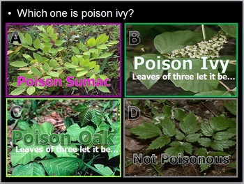 Poisonous Plants, Poison Ivy Identification by Science from Murf LLC
