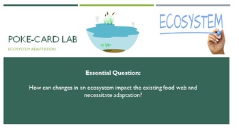 Ecosystems Diversity Worksheets Teaching Resources Tpt