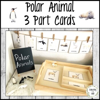 Preview of Polar Animal 3 Part Activity Cards
