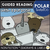 Polar Animals Comprehension Bundle | Nonfiction Passages w