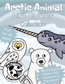 Preview of Polar Animal Life Cycles | Narwhal, Polar Bear and Snowy Owl