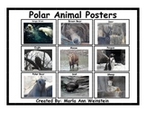 Polar Animal Posters