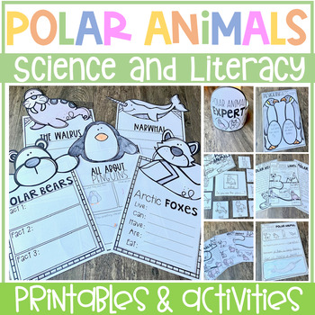 Preview of Polar Animals Printables Worksheets for Kindergarten | Science