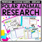 Polar Animal Research Reports for Informational Writing | 