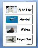Polar Animal Word Wall Cards