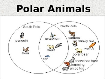 Polar Animals by PreK Owlet | TPT