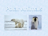 Polar Animals