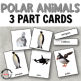 Polar Animals 3 Part Cards