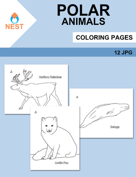 Polar Animals Coloring Pages | 12 Animals by Elvia Montemayor -Nest-