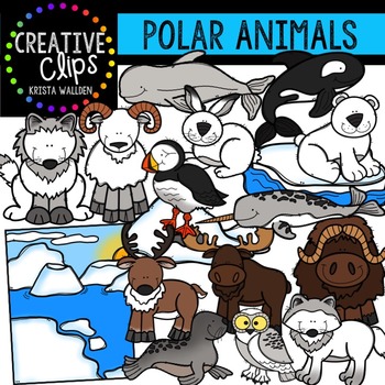 Preview of Polar Animals Clipart {Creative Clips Clipart}
