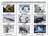 Polar Animals Matching and Keyboarding Practice