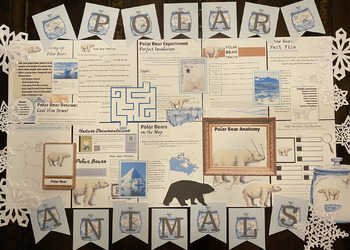 Preview of Polar Animals Nature Study