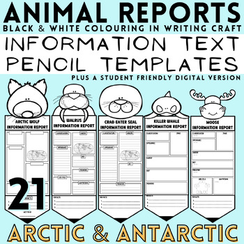 Preview of Polar Animals Research Report Project Informative Written Display Pencil Set
