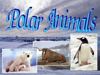 Preview of Polar Animals Science Unit
