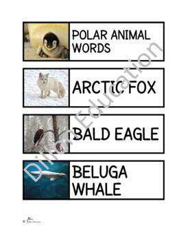 Preview of Polar Animals Unit