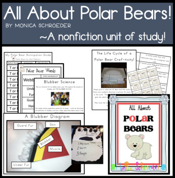 Preview of Polar Bear Activities