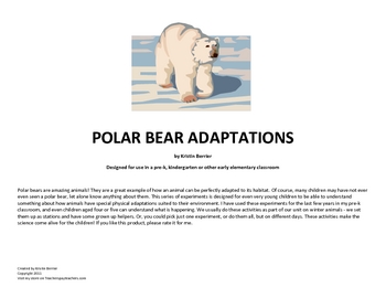 Polar Bear Adaptations: A science lesson for preschool, k, or 1st