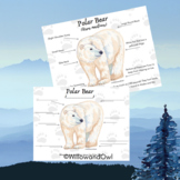Polar Bear Anatomy Sheets