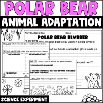 Preview of Polar Bear Blubber | Animal Adaptation | Science Experiment | Lab Sheets