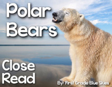 Polar Bear Close Read