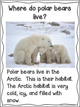 Polar Bears for Kindergarten and First Grade Close Reading | TpT