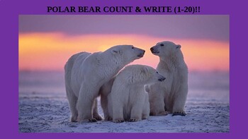 Preview of Polar Bear Count & Write!!