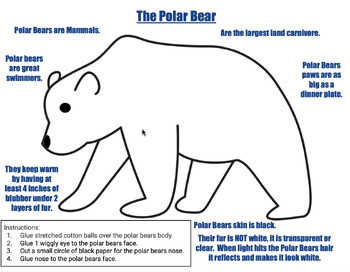 Preview of Polar Bear Craft with Fact