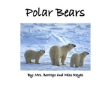 Polar Bear Expository Book